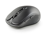 Ngs_evopeep03-list